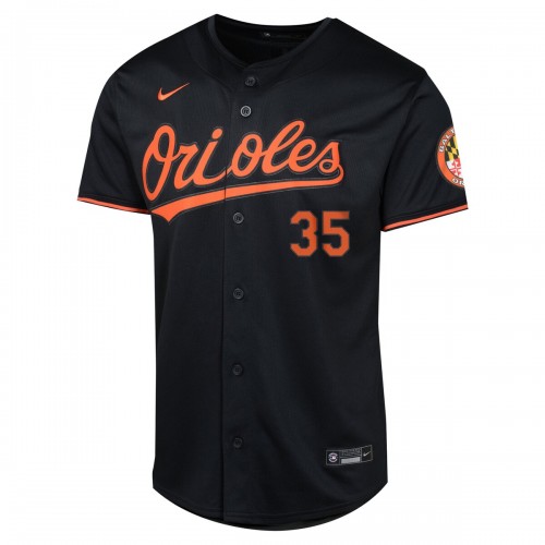 Adley Rutschman Baltimore Orioles Nike Youth Alternate Limited Player Jersey - Black