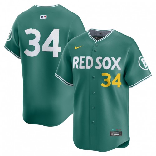David Ortiz Boston Red Sox Nike 2025 City Connect Limited Retired Player Jersey - Green David Ortiz Boston Red Sox Nike 2025 City Connect Limited Retired Player Jersey - Green