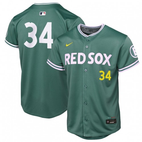 David Ortiz Boston Red Sox Nike Youth 2025 City Connect Limited Retired Player Jersey - Green David Ortiz Boston Red Sox Nike Youth 2025 City Connect Limited Retired Player Jersey - Green