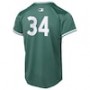 David Ortiz Boston Red Sox Nike Youth 2025 City Connect Limited Retired Player Jersey - Green David Ortiz Boston Red Sox Nike Youth 2025 City Connect Limited Retired Player Jersey - Green