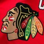 Connor Bedard Chicago Blackhawks Home Premium Jersey - Red Connor Bedard Chicago Blackhawks Home Premium Jersey - Red
