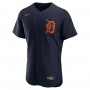 Detroit Tigers Nike Alternate Authentic Logo Team Jersey - Navy