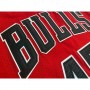Men's Chicago Bulls Michael Jordan #45 Throwback Mitchell & Ness Red 1994-95 Hardwood Classics Player Jersey