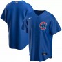 Men's Chicago Cubs Nike Royal Alternate Team Jersey