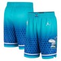 Men's Charlotte Hornets Nike Green 2021/22 Swingman Shorts - City Edition