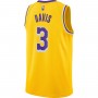 Anthony Davis Los Angeles Lakers Nike 2021/22 Diamond Swingman Jersey - Icon Edition - Gold