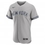 Anthony Volpe New York Yankees Nike Road Authentic Jersey - Gray