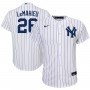 DJ LeMahieu New York Yankees Nike Youth Alternate Replica Player Jersey - White