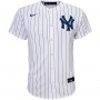 DJ LeMahieu New York Yankees Nike Youth Alternate Replica Player Jersey - White