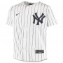 Gerrit Cole New York Yankees Nike Youth Alternate Replica Player Jersey - White
