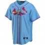 Paul Goldschmidt St. Louis Cardinals Nike Youth Alternate Replica Player Jersey - Light Blue