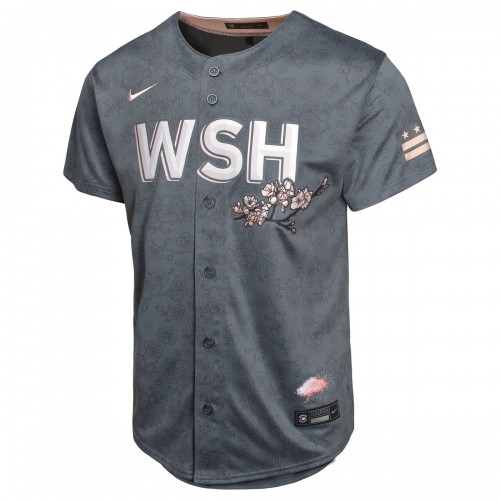 Washington Nationals Nike Youth City Connect Limited Jersey - Charcoal