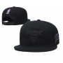 Chicago Bulls Black on Black Snapback Hat