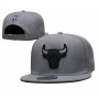 Chicago Bulls Gray Snapback Hat