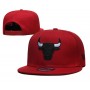 Chicago Bulls Red and Black Logo Snapback Hat