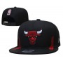 Chicago Bulls Men's Black Team Color Basic Snapback Hat