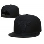 Chicago Bulls Mitchell & Ness Black on Black Snapback Hat