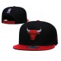 Chicago Bulls Two Tone Snapback Cap