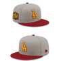 Los Angeles Dodgers World Series Side Patch Gray/Red Snapback Hat