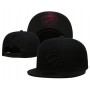 Toronto Raptors Logo Under Visor Black on Black Snapback Hat