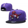 Toronto Raptors Big Logo 2Tone Purple/Black Snapback Hat