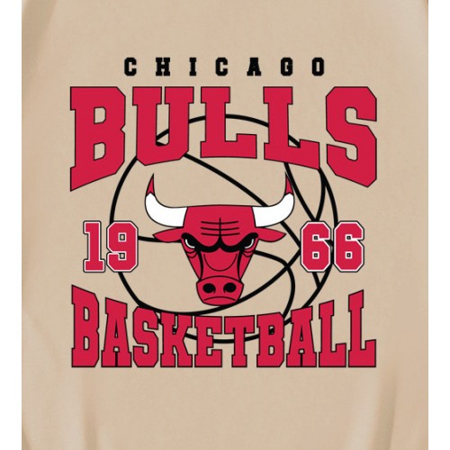 Vintage Chicago Bulls 1966 Basketball T-Shirt