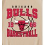 Vintage Chicago Bulls 1966 Basketball T-Shirt