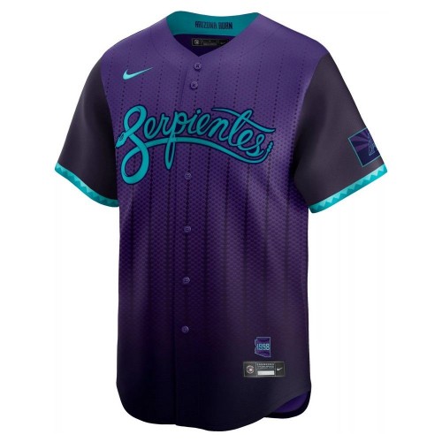 Randy Johnson Arizona Diamondbacks Nike 2025 City Connect Limited Player Jersey - Purple